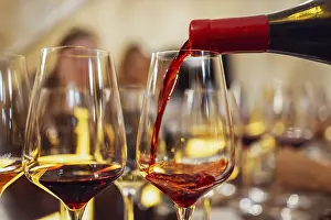 Restaurant Table Setting Drucke: Glass goblets placed in rows on table during wine tasting procedure in restaurant