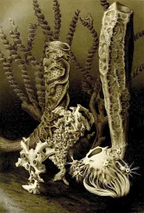 Marine Animal Illustration Drucke: Glass (Hexactinellida) sponge, a class from the phylum