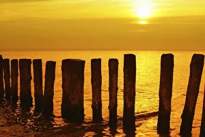 Golden Sunset Drucke: Golden sunset