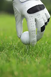 Golf Ball Close Up Drucke: Detail of golf ball and gloves