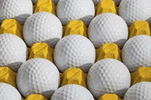 Deserted Golf Course Scene Drucke: Golf balls in a box for eggs