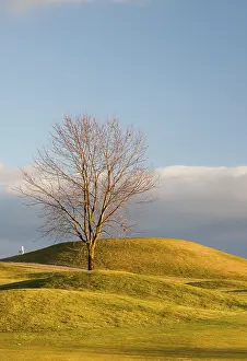 Empty Golf Course Drucke: On the empty golf course in autumn