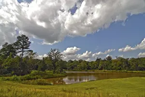 Deserted Golf Course Drucke: Golf course landscape
