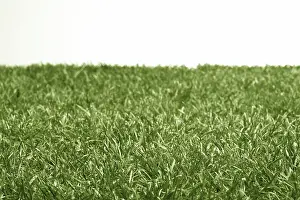 Uninhabited Golf Courses Drucke: Golf course, lawn