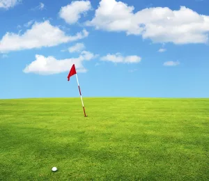No People On The Green Drucke: Golf field