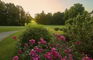 Uninhabited Golf Courses Drucke: Golf ground