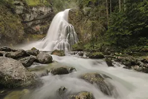 Waterfalls In Europe Drucke: Golling waterfall, stream, forest