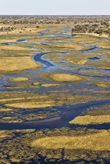 Aerial View Of River Drucke: The Gomoti River with its channels