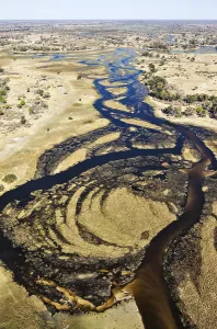 Aerial View Of River Drucke: The Gomoti River with its channels