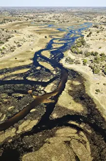 Okavango Delta Aerial View Drucke: The Gomoti River with its channels