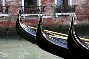 Venice Gondolas Drucke: Gondolas
