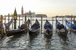 Historic City Center Venice Drucke: Gondolas in front of the Piazzetta