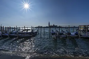 Venice Gondolas Drucke: Gondolas in front of San Marco