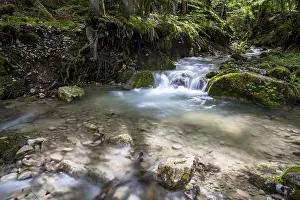 European Mountain Streams Drucke: Gorge de Perrefitte, small gorge
