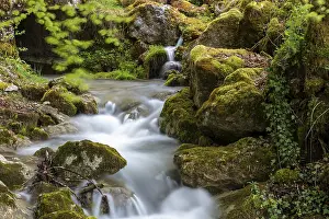 Rocky Gorge In Europe Drucke: Gorge de Perrefitte, small gorge