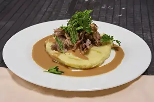 Rustic Country Style Food Drucke: Goulash with mashed potato