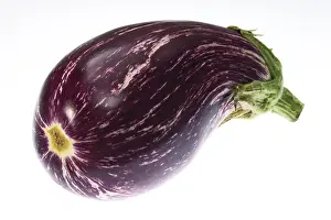 Eggplant Nutrition Facts Drucke: Graffiti eggplant
