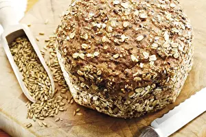 Balanced Diet Staples Food Drucke: Whole grain bread