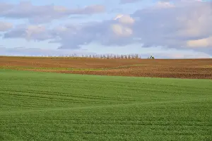Grain Field Germany Drucke: Grain field, field, clouds, spring