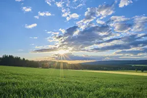 Evening Atmosphere In Germany Drucke: Grain field, sky, sunset, spring