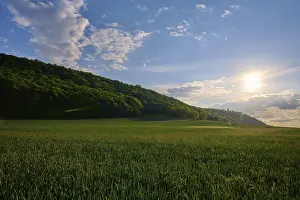 Thuringia Landscape Photography Drucke: Grain field in spring with clouds at sunset