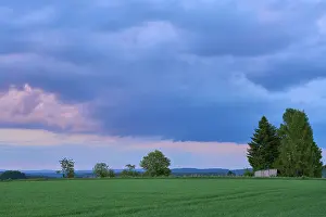Bavarian Countryside Drucke: Grain field, tree, clouds, twilight