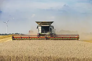 Deserted Farmland Drucke: Grain harvest