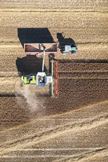Grain Harvest Drucke: Grain harvest is about to be completed