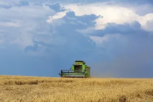 Agricultural Machine Europe Drucke: Grain harvest under thunderclouds