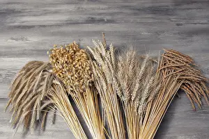 Deserted Agriculture Drucke: Grain sheaves