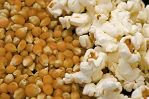 Indian Food Photography Drucke: Grains of maize and popcorn