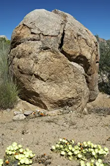 Granite Cliff Scenery Drucke: Granite rock, split by extreme temperature fluctuations