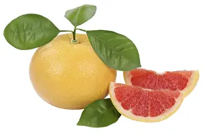 Rich In Vitamins Fruit Drucke: Grapefruit fruit cropped isolated against a white background