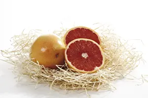 Citrus Fruit Still Life Drucke: Grapefruit ruby in wood shavings