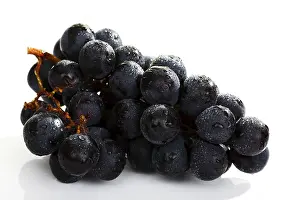Grocery Store Fresh Produce Drucke: Grapes