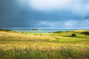 Rgen Island Landscape Drucke: Grass landscape, view of Bodden