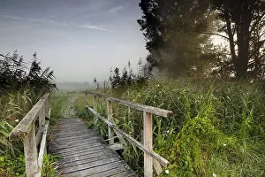 Biosphere Reserve Europe Drucke: Grassland in the Dromling