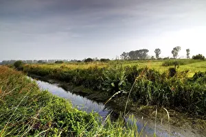 Inner German Border Drucke: Grassland in the Dromling