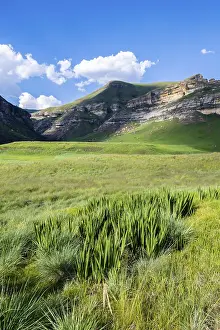 Conservation Area In Southern Africa Drucke: Grassland with sandstone cliffs and cliffs