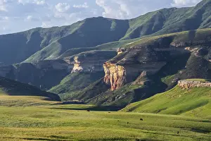Rocky Cliff Landscape Photography Drucke: Grassland with sandstone cliffs and cliffs