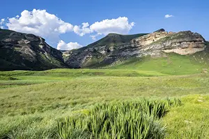 South Africa Landscape Drucke: Grassland with sandstone cliffs and cliffs