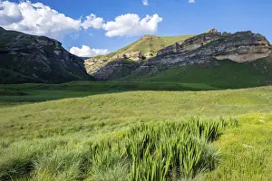 Deserted Grassland Landscape Drucke: Grassland with sandstone cliffs and cliffs