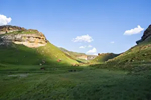 African Nature Reserve Photos Drucke: Grassland with sandstone cliffs and cliffs