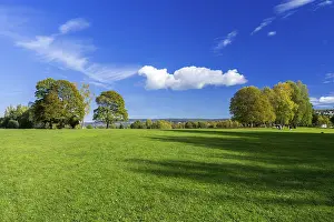 Rural Countryside Scene Drucke: Grassy meadow with trees, sky and clouds