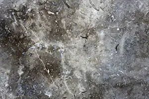 Gray Marble Texture Drucke: Gray marble texture
