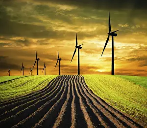 Ecological Awareness Drucke: Great nature