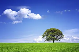 Organic Farming Practices Drucke: Great nature