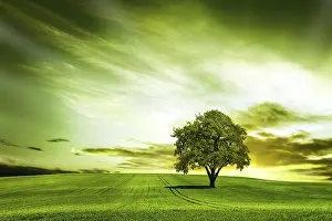 Evening Atmosphere Drucke: Great nature at sunset