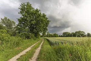 Dark Cloud Atmosphere Drucke: Great thunderstorm over a path in the countryside in spring
