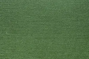 Green Abstract Texture Drucke: Green abstract texture for background